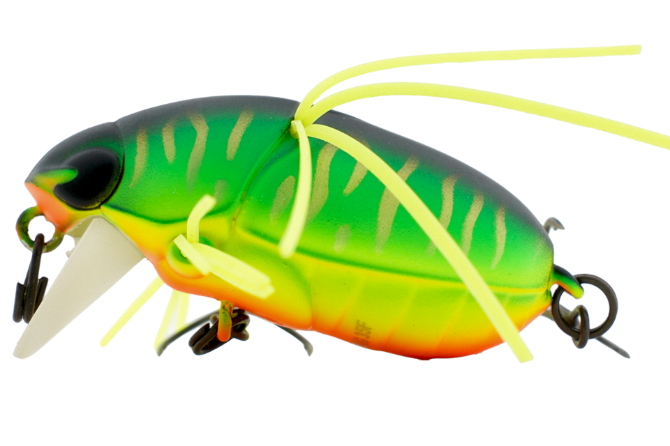 mat tiger