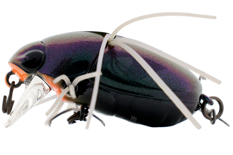 ul bug