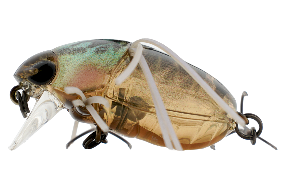 clear brown kogane