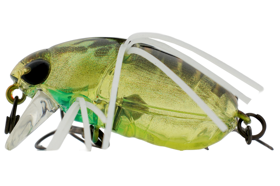 clear lime kogane