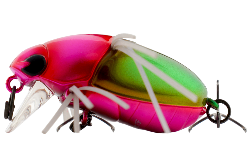 uv green ground beetle