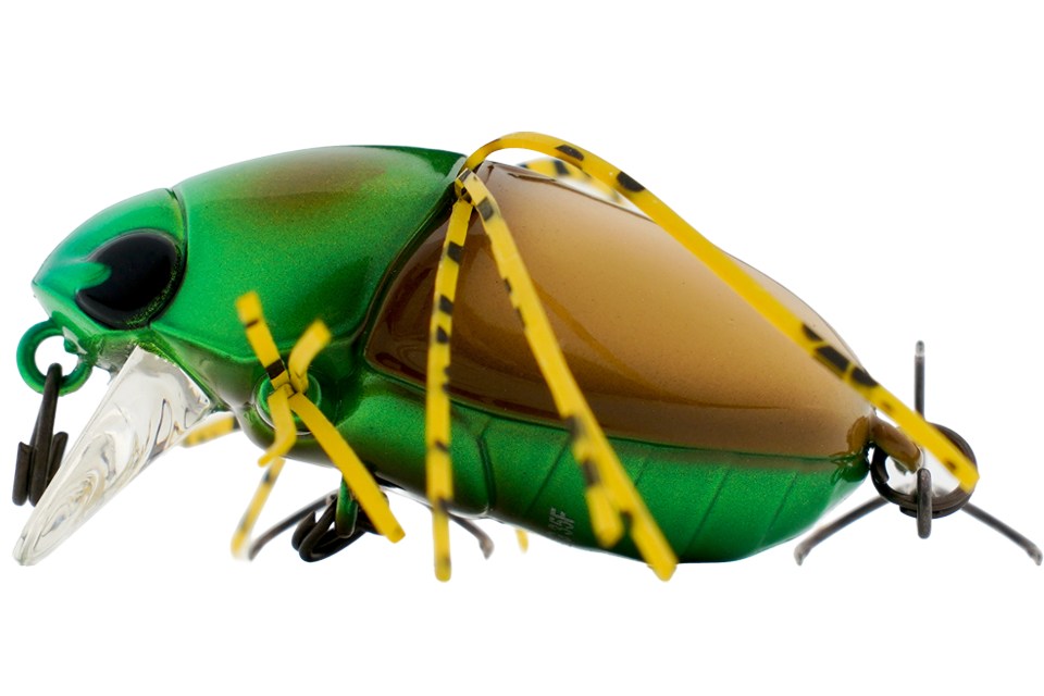 uv brown flower chafers