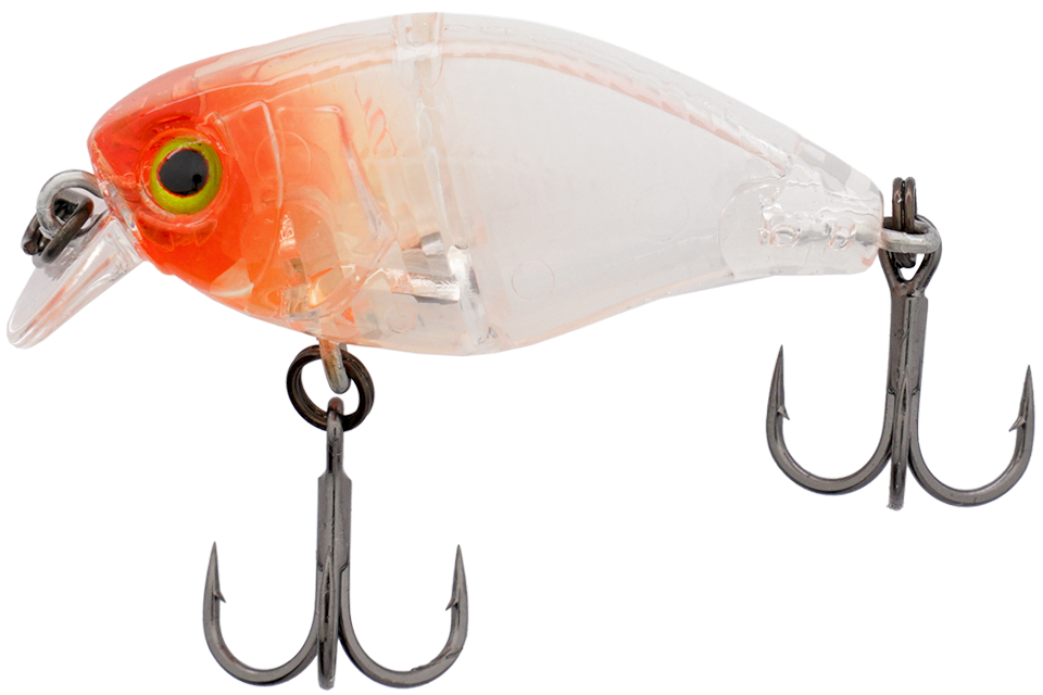 clear salmon roe head