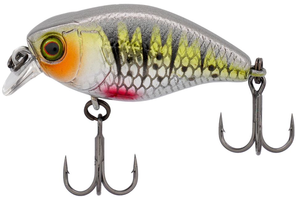 hl g perch