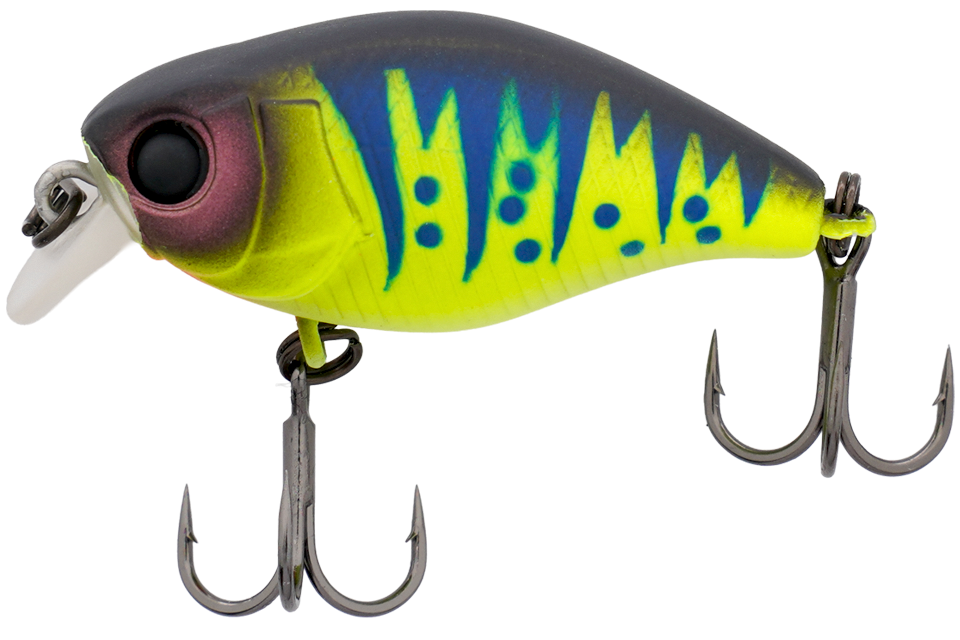 uv mat chart g perch