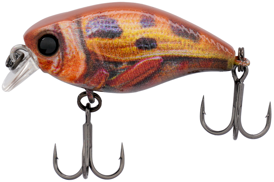 rt custard bug