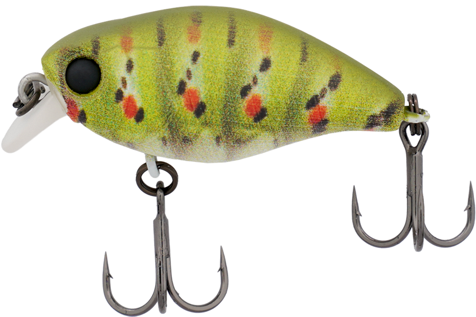 rt green caterpillar