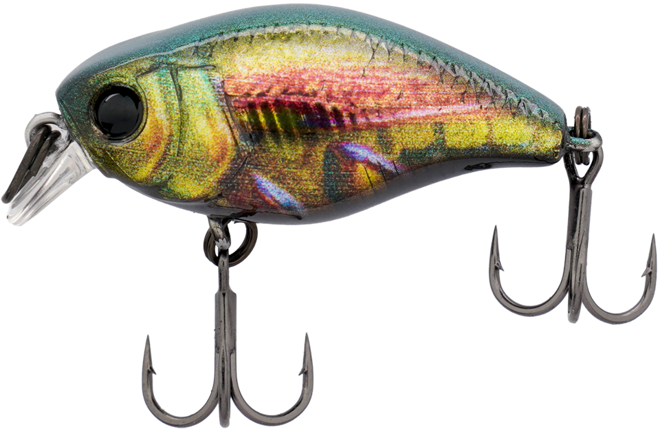 rt metallic fly