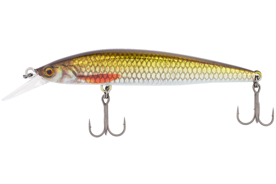 rt tiny baitfish