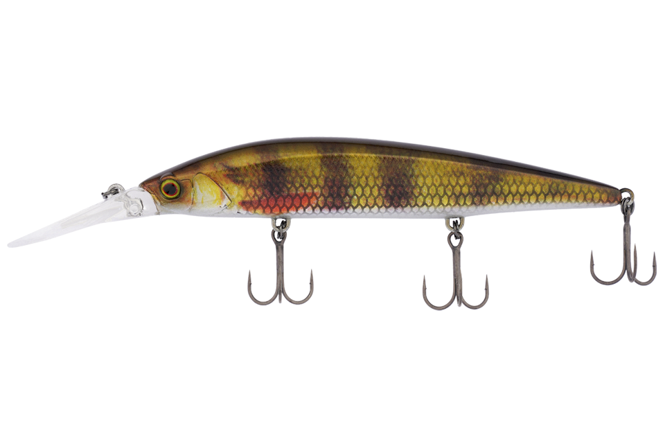 rt lively perch