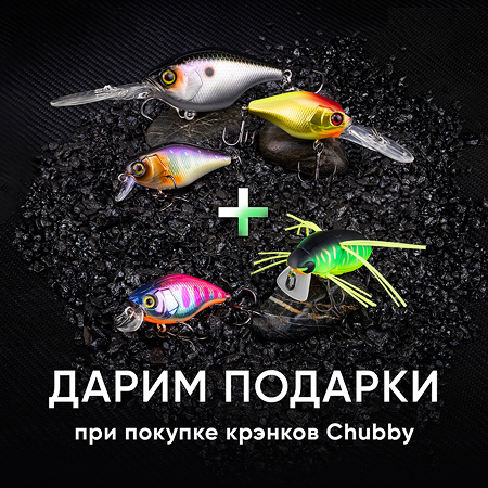 Дарим подарки при покупке Chubby